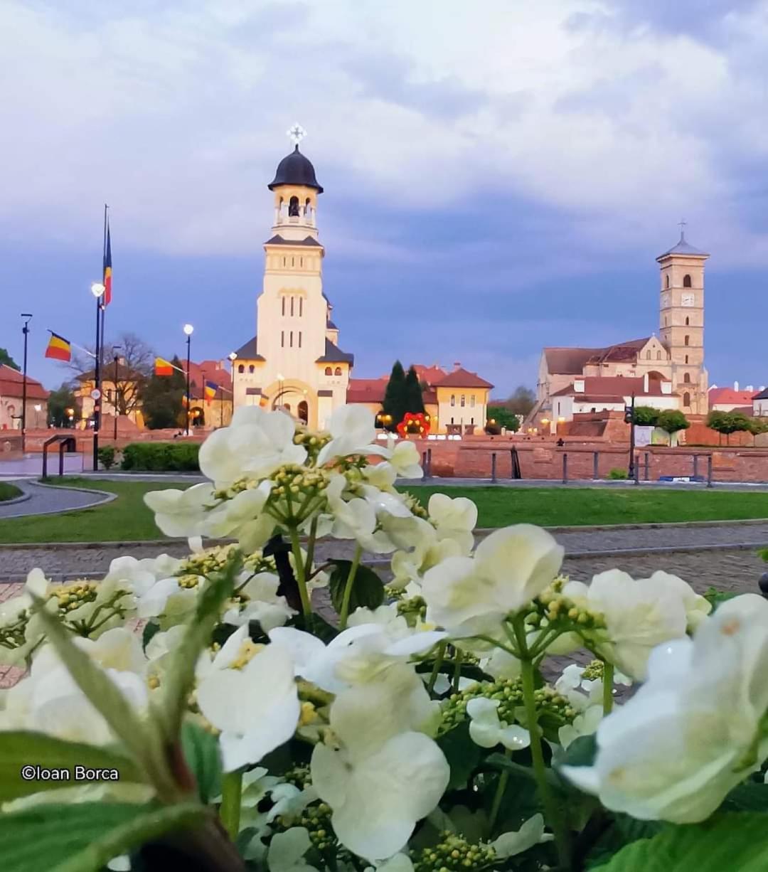 The View1 Apartment Alba Iulia Exterior foto