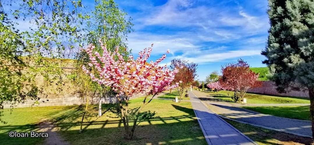 The View1 Apartment Alba Iulia Exterior foto